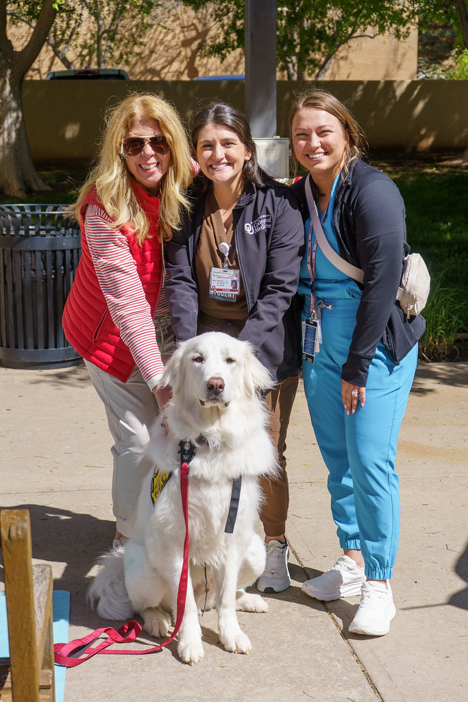 Students and staff pose with a therapy dog at De-Stress Fest.