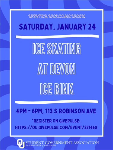 Ice Skating at Devon