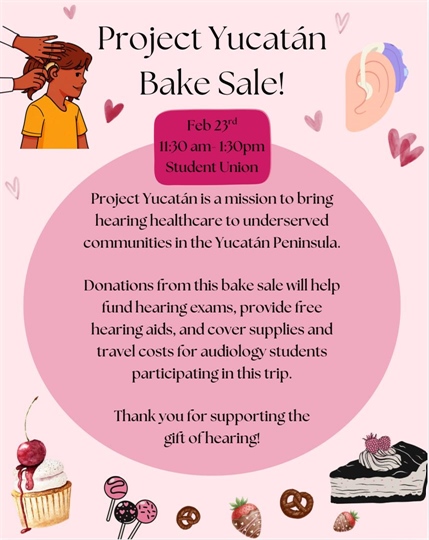 Project Yucatán Bake Sale 🧁