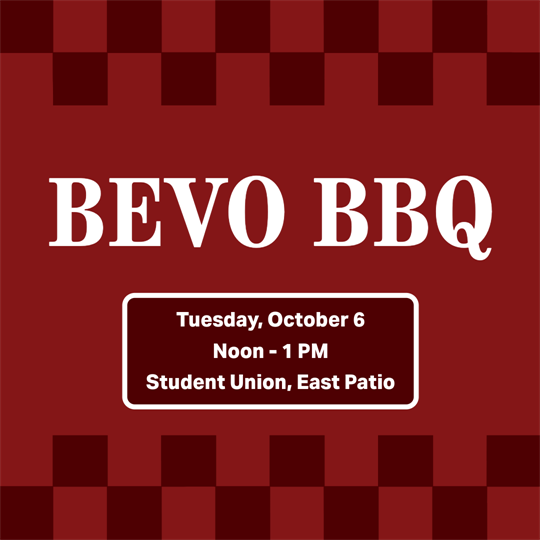 Bevo BBQ